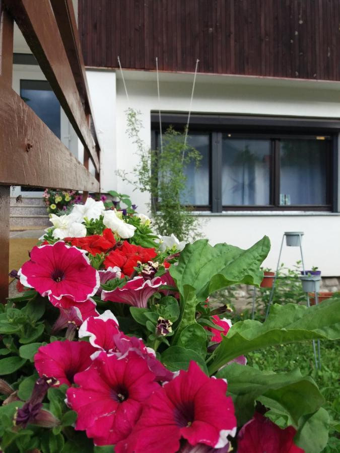 Privat Tatry Dreams Hotel Nova Lesna Exterior photo